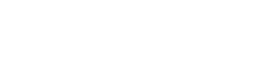 Parookaville